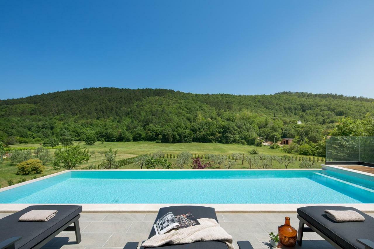 Villa Terra Labin (Istria) Exterior foto
